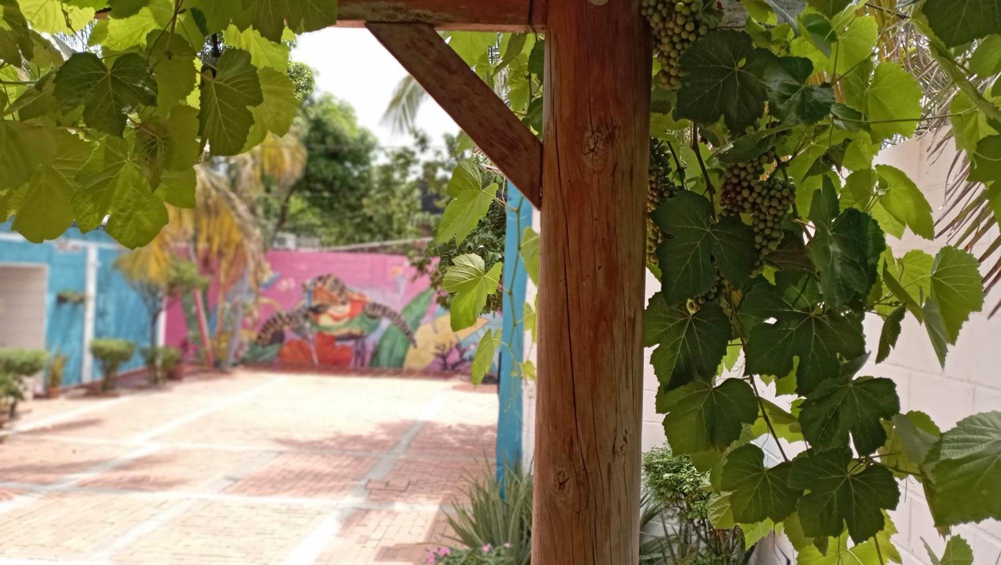 Monkey Man, Beach House, Santa Marta